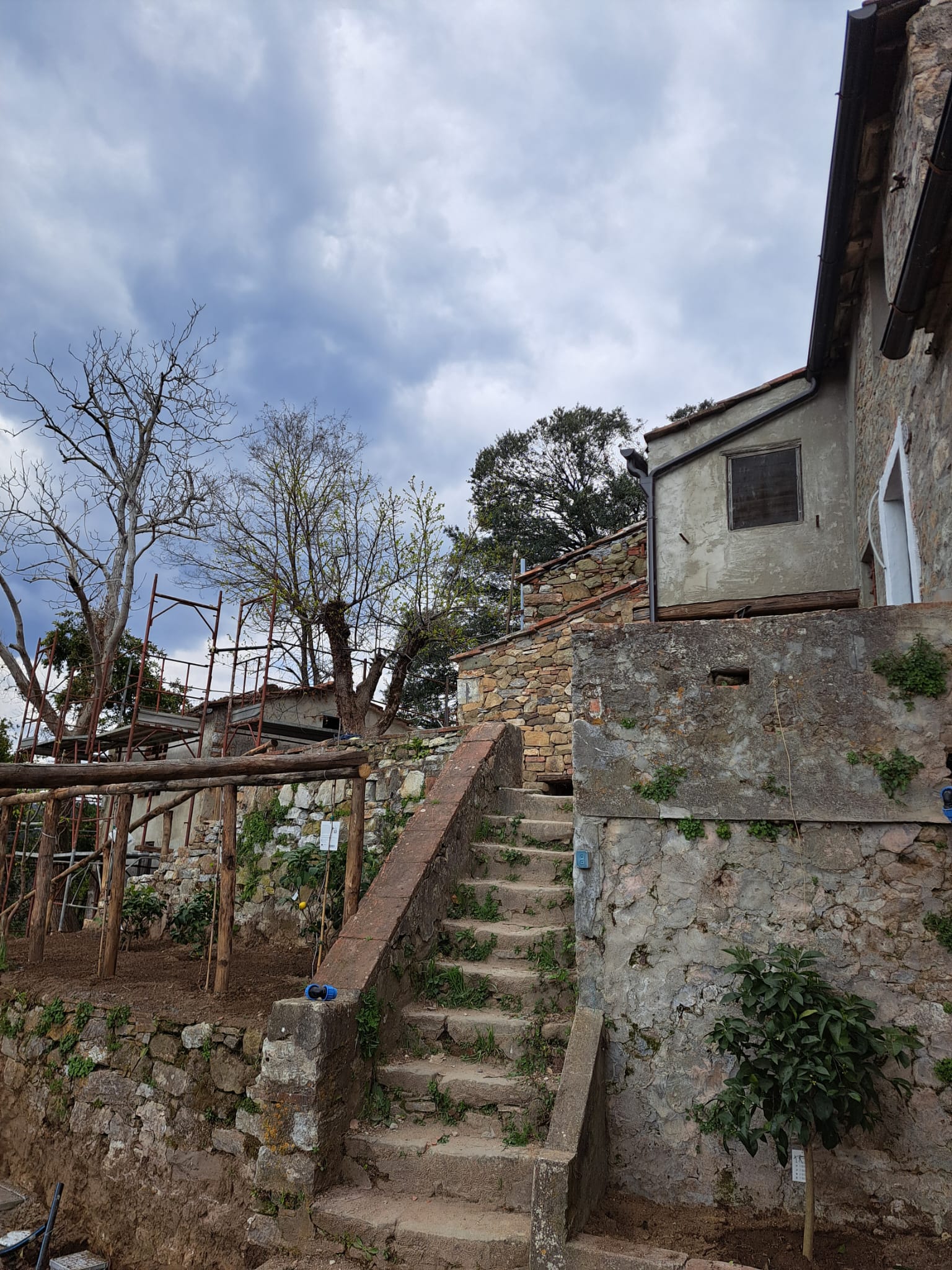 Podere il Leccio - Foto 3