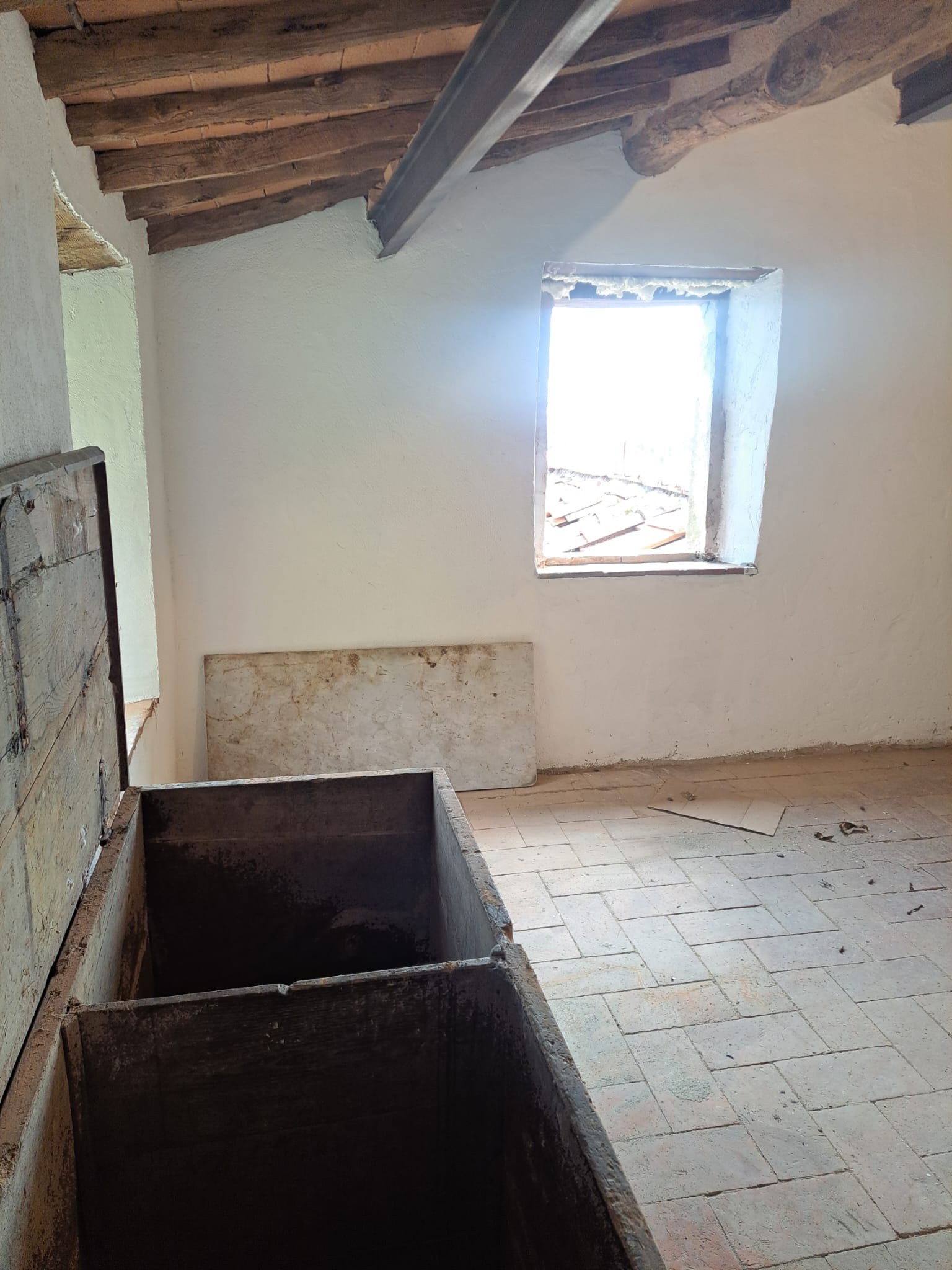 Podere il Leccio - Foto 4